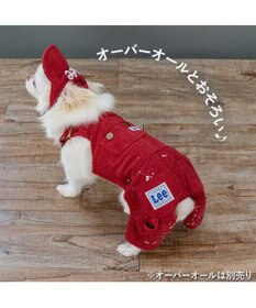 PET PARADISE Lee コーデュロイ キャップ ４Ｓ～３Ｓ/ＳＳ～Ｓ