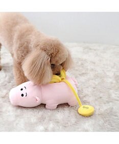 PET PARADISE ディズニー トイ・ストーリー ハム 知育トイ