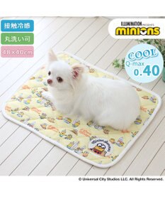PET PARADISE ミニオン ボブ クール マット 《ビーチ柄》 小型犬 48×40㎝