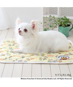 PET PARADISE ミニオン ボブ クール マット 《ビーチ柄》 小型犬 48×40㎝