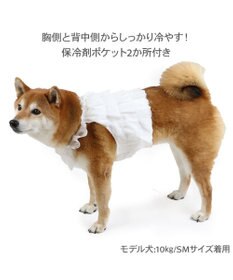 PET PARADISE ペットパラダイス ポケットクール ビスチェ 中型犬