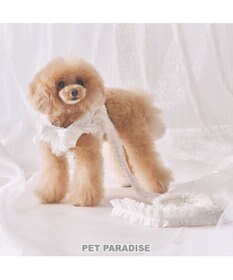 PET PARADISE cherircouture フリフリリード 《ホワイト》ＳＳ～Ｓ  小型犬