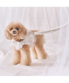 PET PARADISE cherircouture フリフリリード 《ホワイト》ＳＳ～Ｓ  小型犬