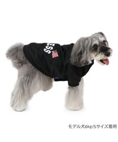 PET PARADISE J.PRESS ブラック スタジャン 小型犬
