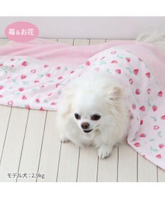 PET PARADISE ペットパラダイス クールケット 《苺＆お花柄》 小型犬