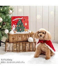 PET PARADISE 2025 クリスマス アドベントカレンダー おやつ 国産