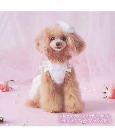 PET PARADISE cherircouture メニ―ローズ ワンピース ホワイト 小型犬