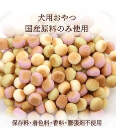 PET PARADISE 野菜ミックス ボーロ 小袋 80ｇ