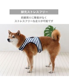 PET PARADISE リサとガスパール 保冷剤付 ベストハーネス 《ボーダー》 ＳＭ 中型犬