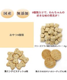 PET PARADISE 2024 クリスマス アドベントカレンダー おやつ 国産