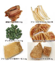 PET PARADISE 2024 クリスマス アドベントカレンダー おやつ 国産