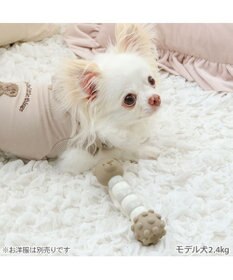 PET PARADISE ペットパラダイス くまちゃん  ラテックス トイ 《ブラウン》
