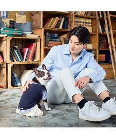 PET PARADISE ペットパラダイス ベスト パンツつなぎ 《ネイビー》 小型犬