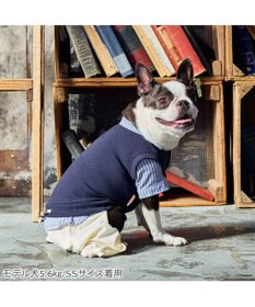 PET PARADISE ペットパラダイス ベスト パンツつなぎ 《ネイビー》 小型犬