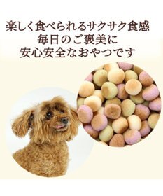 PET PARADISE 野菜ミックス ボーロ 小袋 80ｇ