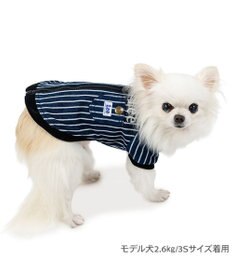 PET PARADISE Lee ブルゾン ストライプ 小型犬