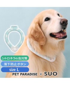 ペットパラダイス 28℃クールリング SUO 《くま柄》 〔L〕 大型 ペットパラダイス 28℃クールリング SUO 《くま柄》 〔L〕 大型