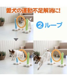 PET PARADISE 犬 トイ TOY ペットパラダイス アジリティ セット 訓練 ドッグアジリティ トレーニング