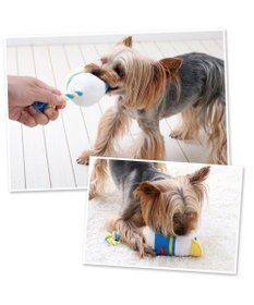 PET PARADISE ディズニー ドナルドダック ぽて トイ