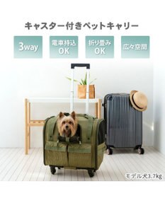 ペットパラダイス キャリーバッグ キャスター付き 4輪 カート 【小型犬】 キャリーバッグ キャスター付き 4輪 カート【小型犬】 ハード