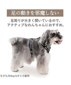 PET PARADISE Lee ロゴアクティブ ハーネス ＳＳ