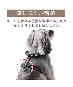 PET PARADISE Lee ロゴアクティブ ハーネス ＳＳ