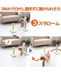 PET PARADISE 犬 トイ TOY ペットパラダイス アジリティ セット 訓練 ドッグアジリティ トレーニング