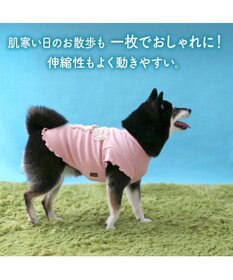 PET PARADISE ペットパラダイス リボン プレミアム ペティヒート Ｔシャツ 中型犬