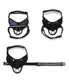 PET PARADISE ヘッドインハーネス 【ＳＳ】 オレンジ / ブルー 【小型犬】