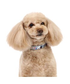 PET PARADISE リサとガスパール リボン付き首輪 《パリ柄》 ３Ｓ 小型犬