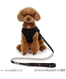 PET PARADISE J.PRESS リード 《ブラック》 ＳＳ～Ｓ