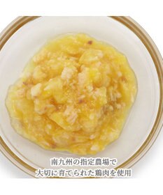 PET PARADISE リアルフード パウチスープ 《砂肝＆パンプキン》 50g×3パック 国産