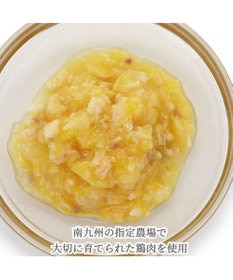 PET PARADISE リアルフード パウチスープ 《砂肝&パンプキン》 50g×3パック 国産