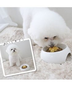 PET PARADISE リアルフード パウチスープ 《砂肝＆パンプキン》 50g×3パック 国産