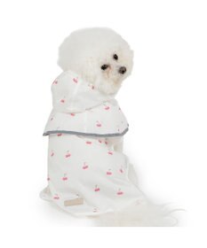 PET PARADISE ペットパラダイス ケープ付き レインコート 《チェリー》 小型犬