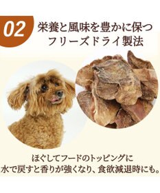 PET PARADISE フリーズドライ  鶏レバー 40g 国産