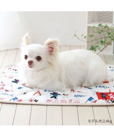 PET PARADISE リサとガスパール クール マット 《パリ柄》 小型犬 48×40㎝