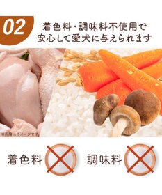PET PARADISE 愛犬にやさしい スープごはん 鶏