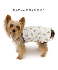 PET PARADISE ペットパラダイス くまちゃん ペティヒート  腹巻 小型犬