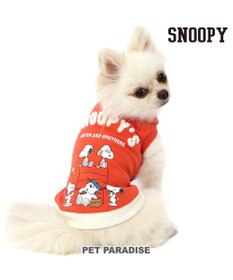 赤犬です Amazon.co.jp: 全4種 海軍 DX ワンピース センゴク 黄猿 赤犬