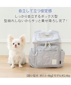 PET PARADISE ペットパラダイス 花キルティング ハグ＆リュック Ｓ