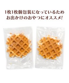 PET PARADISE スヌーピー チーズワッフル