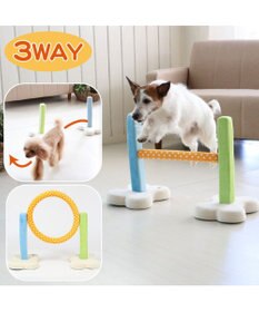 PET PARADISE 犬 トイ TOY ペットパラダイス アジリティ セット 訓練 ドッグアジリティ トレーニング