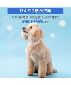 PET PARADISE ペットパラダイス １８℃ クールリング Ｓ 《アイス柄》