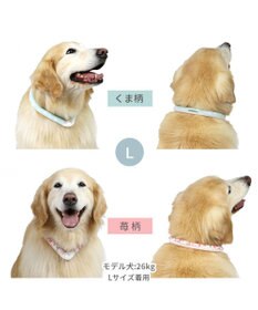 PET PARADISE ペットパラダイス 28℃クールリング SUO 《いちご柄》 〔Ｌ〕 大型犬