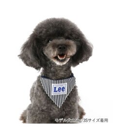 PET PARADISE Ｌｅｅ ヒッコリー 両面バンダナ付き 首輪【ＳＳ】