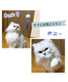 PET PARADISE 猫 おもちゃ 猫じゃらし 魚 トイ