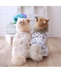 PET PARADISE ペットパラダイス くまちゃん 甚平 《アイス柄》 小型犬