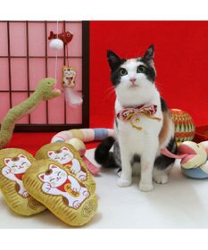 ペットパラダイス 猫 小判トイ 和まねき猫 / PET PARADISE