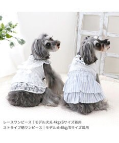 PET PARADISE ペットパラダイス ストライプ ワンピース 小型犬